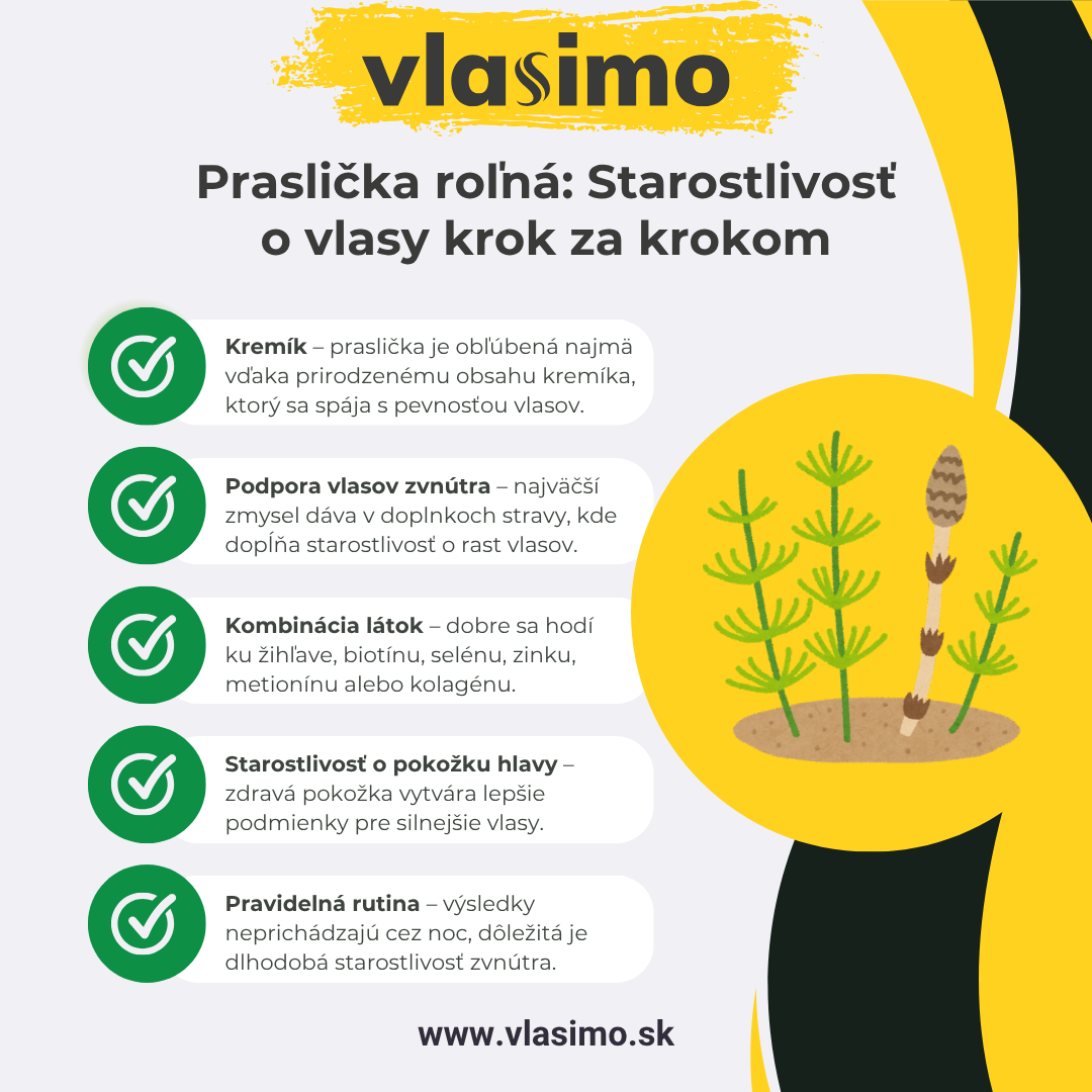 Infografika: Praslička roľná v starostlivosti o vlasy krok za krokom